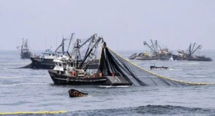 Pesca ilegal: flotas extranjeras extraen hasta 3 millones de toneladas en aguas argentinas